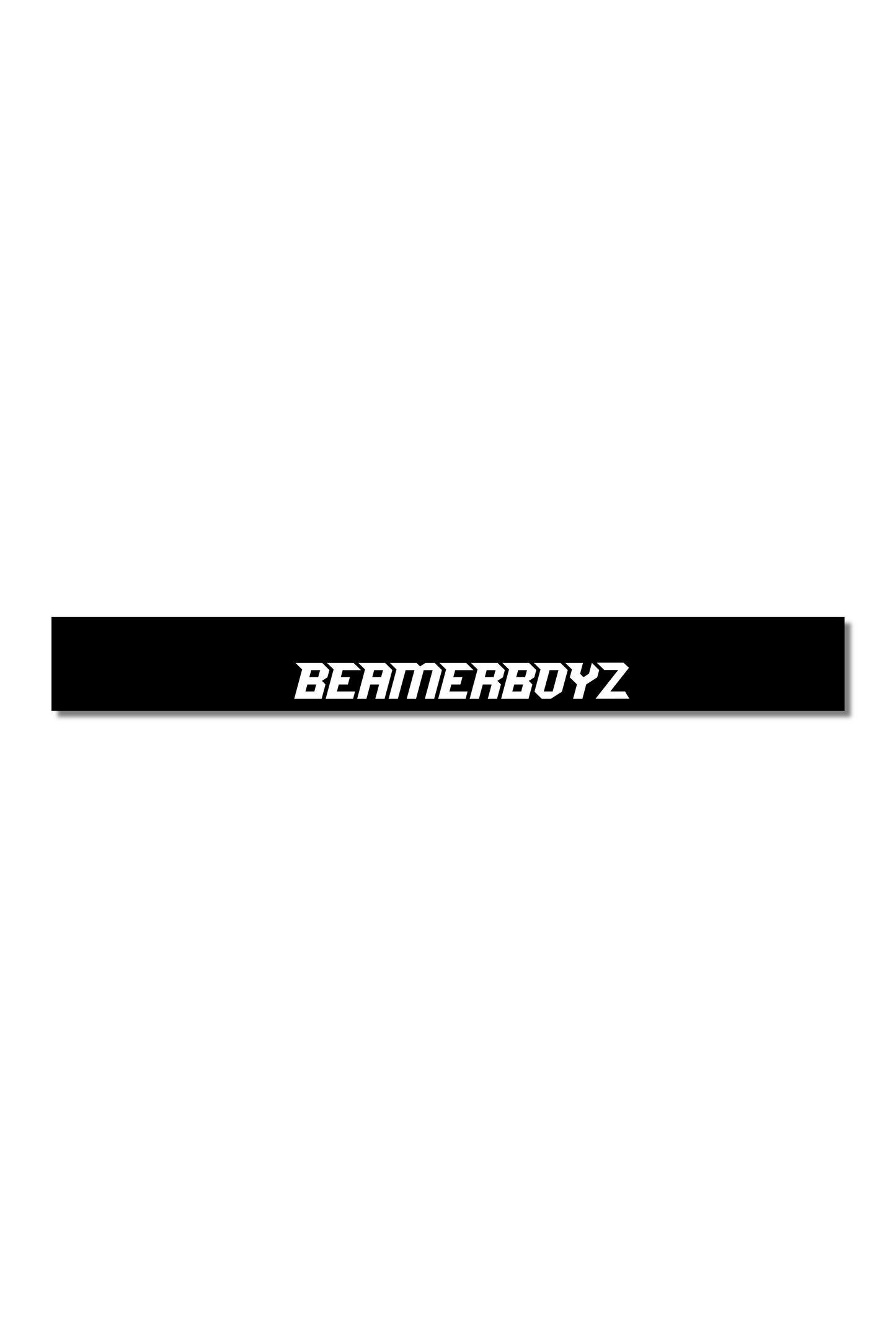 BEAMERBOYZ BANNER V2